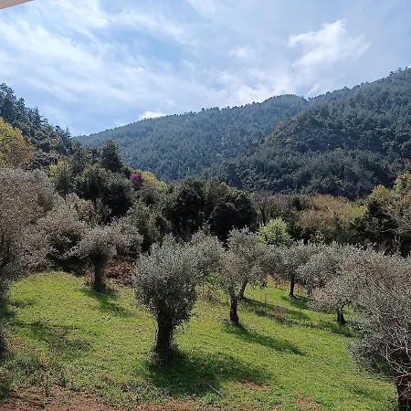Evergreen Thassos Skala Potamia  Exterior photo